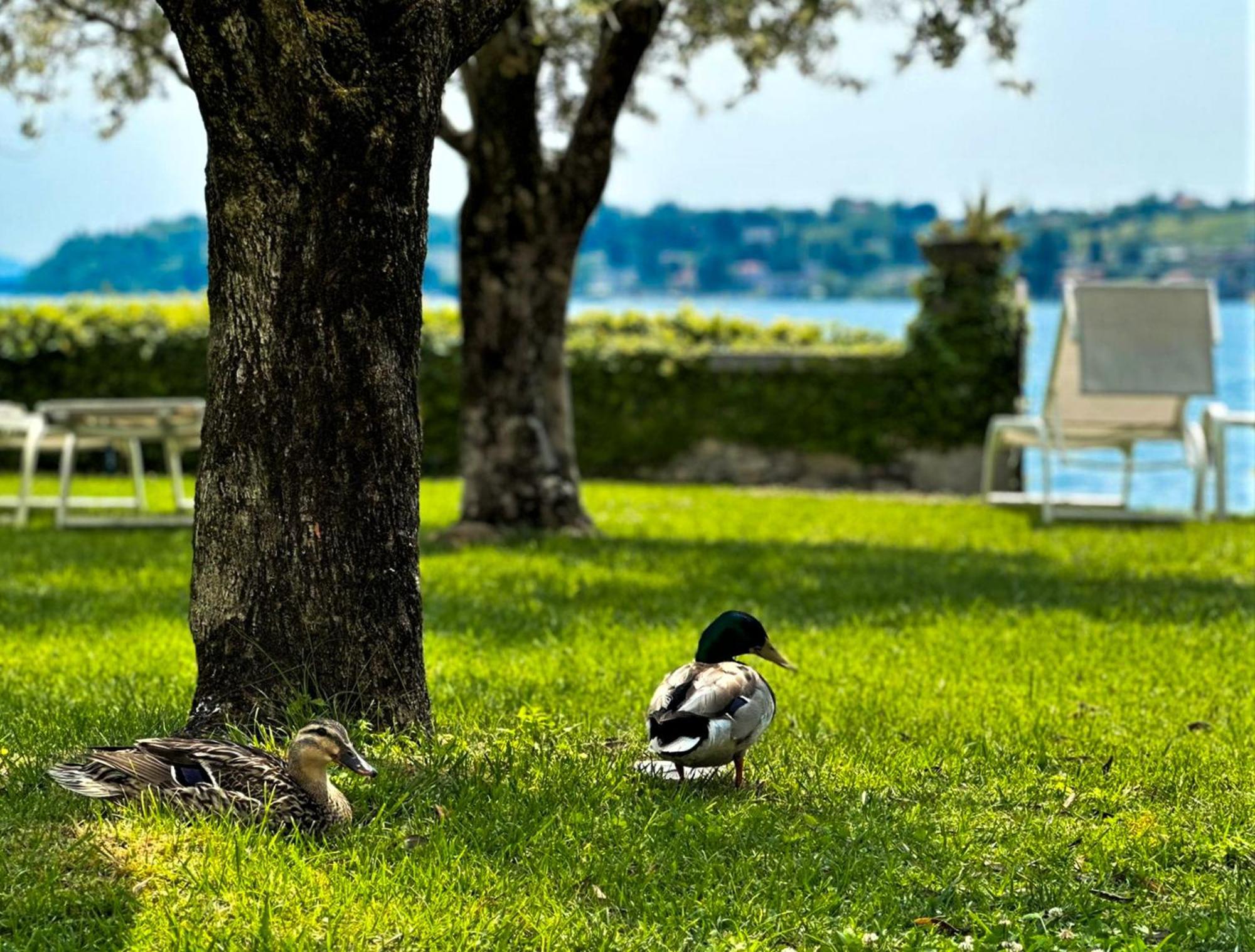 Luxury Lakeside Apartment Right On The Water Salò Esterno foto